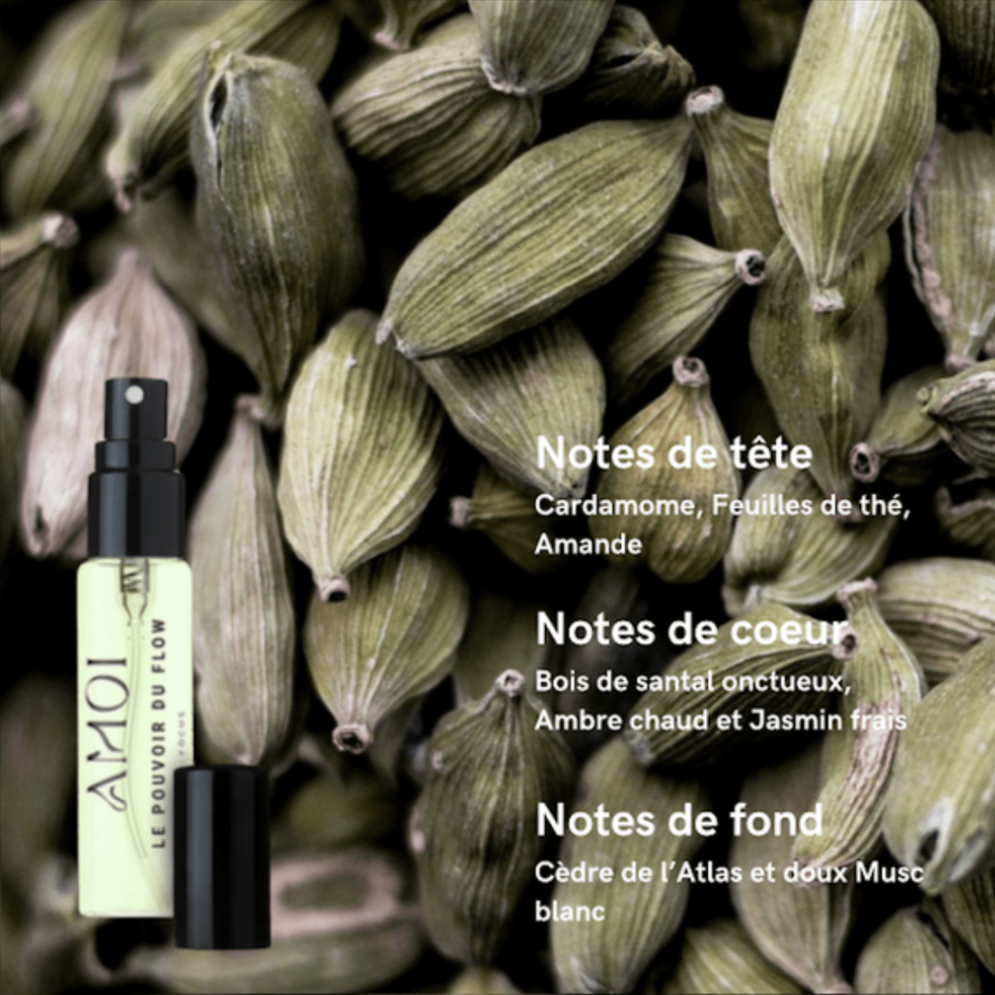 LE POUVOIR DU FLOW - CONCENTRATION Parfum AMOI